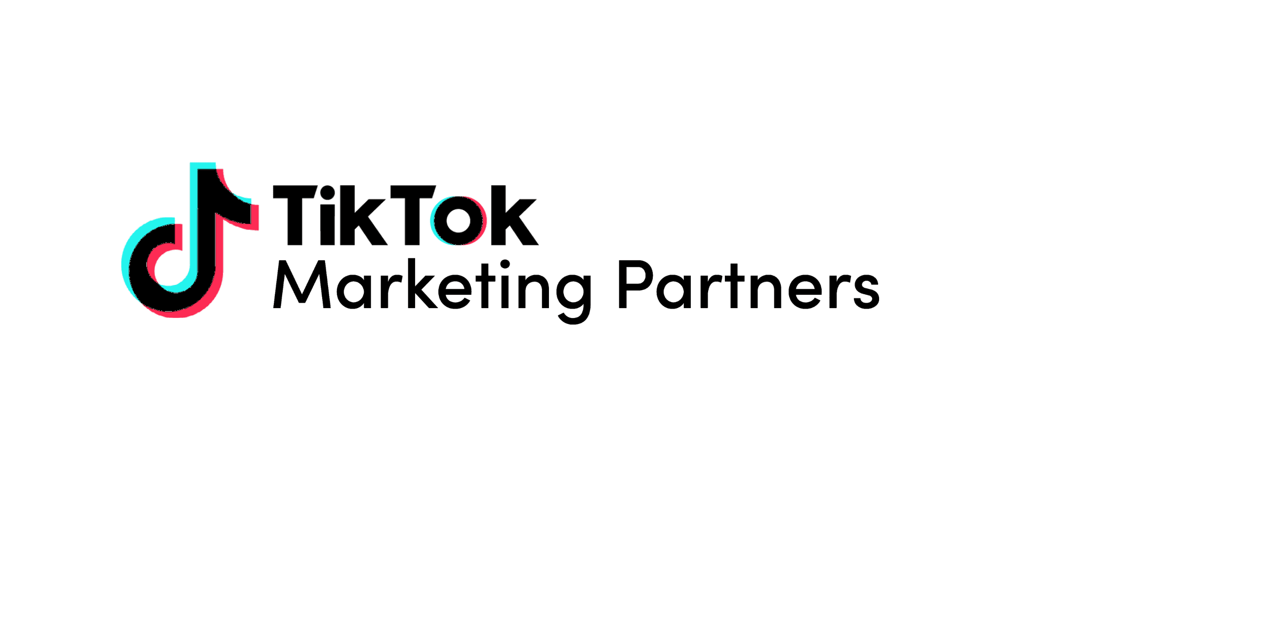 TikTok Marketing Partner